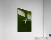 JBS 1467 Acrylic Print