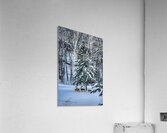 DSC 5638 Impression acrylique