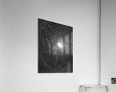 ZJS 8300  Impression acrylique