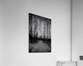 JBS 0236  Impression acrylique