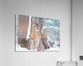 JBS 8854 Impression acrylique