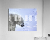 JBS 9247 Acrylic Print