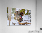 JBS 5958 Impression acrylique