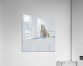 JBS 9346 2 Impression acrylique