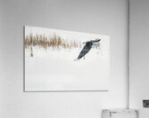 JBS 8846 Impression acrylique