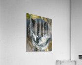 JBS 9093 Impression acrylique