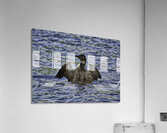 JBS 23862 Impression acrylique