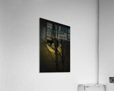 JBS 5294 2 Acrylic Print