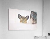 JBS 5691  Impression acrylique