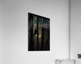 PINE MARTEN2 Impression acrylique