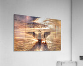 JBS 5877  Impression acrylique