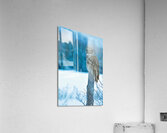 jbs 5420-2 Impression acrylique