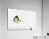 JBS 9269 Impression acrylique