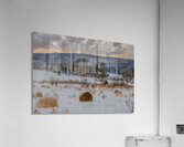 ZJS 9136 Edit 2 Edit Acrylic Print