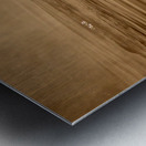 DSC 1719  Impression metal