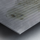 DSC 1902  Metal print