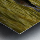 JBS 2224 Impression metal