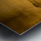 DSC 1717  Metal print