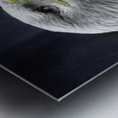 JBS 1282  Metal print