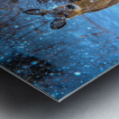 JBS 0395  Metal print