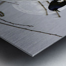 JBS 0164  Impression metal