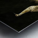 JBS 0909 Impression metal