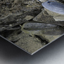 JBS 1629 Metal print