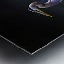 JBS 1706 2 Metal print