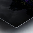 ZJS 7780  Metal print