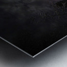 ZJS 6936  Metal print