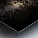 JBS 8757  Impression metal