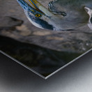 JBS 3491 Impression metal