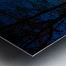 JBS 6767  Metal print