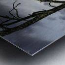 Eagle-Gogama Impression metal