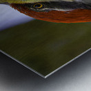 JBS 5301  Metal print