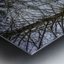 JBS 5217 Impression metal