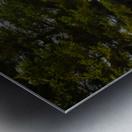 ZJS 9141  Metal print