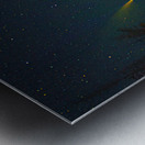 DSC 5763  Metal print