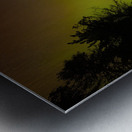 JBS 2069  Metal print