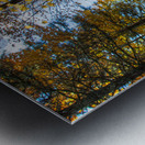 JBS 7125  Impression metal