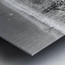 JBS 4080  Metal print