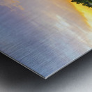 river 2020 Metal print