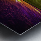 JBS 3554  Metal print