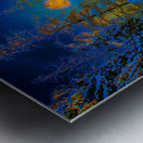 JBS 4968  Metal print