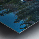 JBS 9615  Metal print