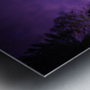 JBS 4855 Impression metal