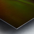 DSC 4357  Metal print