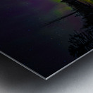 JBS 4794  Impression metal