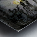 JBS 5278 wc Metal print