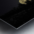 JBS 2066  Impression metal